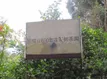 勐海县南糯山茶厂