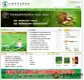 中国茶叶品牌协会