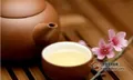普洱茶——自然界的精灵