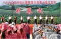 青川县第六届采茶节开幕式