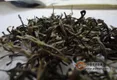 普洱茶中哪些成份对人体健康有益？