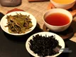 茶是“万病之药”