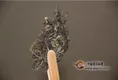 好茶会说话，教你挑选高性价比的普洱茶