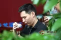 品鉴普洱茶好坏的“四大要诀”，您知道吗？