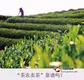 行业观察：“茶农卖茶”靠谱吗？