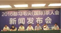 2016都匀毛尖（国际）茶人会新闻发布会在京举行