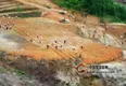 龙陵县圆满完成2016年新植茶叶基地建设