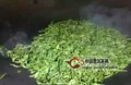 普洱茶春茶常见的三大雷区，你踩到几个了？