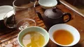 如何判断一款好生茶的标准？