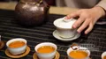 关于茶的“干泡法”和“湿泡法”，90%的人都理解错了！