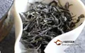 贏得消費(fèi)者的茶才能贏得市場(chǎng)