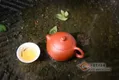 喝茶能对身体有哪些保健作用？