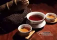 传统四款经典老茶的茶叶标准