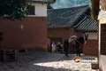 滇藏茶馬古道：茶葉運輸大通道