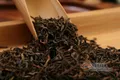 普洱茶背后的故事：普洱茶种植的那点事