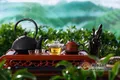 茶壶中蕴含的茶礼，不可忽视！