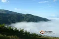 普洱茶古六大茶山之革登古茶山