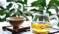 2018问答十九：从普洱茶的茶汤就能判断出年份是真的吗？