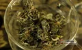 普洱茶生茶要怎么存？究竟要陳化幾年才好喝？