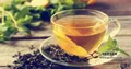 什么茶叶有减肥效果