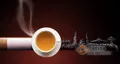 喝什么茶可以减轻吸烟带来的危害？