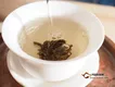 “益露润心”龙珠：一款轻携、易泡、有温度的普洱茶