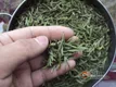 绿茶的保存技巧
