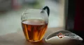 正山小种为什么被称为世界上第一杯红茶？