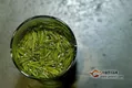 喝雀舌茶的好处