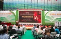 第十三届云南“茶博会”普洱茶现场拍卖会  第一场成交达上百万元