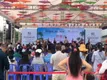 茶王节播报：第十届勐海（国际）茶王节今日隆重开幕
