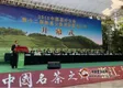 浙江茶叶协会采取有效措施  保护茶产业发展