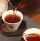 好熟茶喝到口中是什么样的感觉？