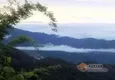 云南普洱茶山寨之苦茶之乡勐宋