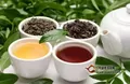 茶叶养生的功效与作用有哪些？
