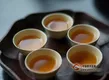 针对九种体质、教你如何配对哪些茶？