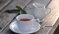 饮茶禁忌：盘点不良喝茶习惯，避免中招！