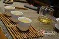 【普洱茶报】回顾历史，看普洱茶新时期新变革