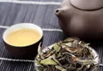 福鼎白茶盖碗泡法