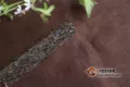 普洱茶投资分析：卖茶，就是找供求关系