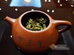 【茶人说茶】老班章的前世今生