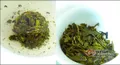 普洱茶和普洱沱茶的区别