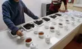 干货︱六堡茶（黑茶）评测体系是怎样的？