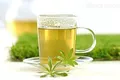 绿茶什么时候喝好?