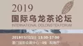 2019国际乌龙茶论坛|茶汤论——华人工夫茶面面观
