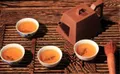 一杯茶饮搅动市场，粗谈中国茶史