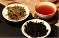 广西职业技术学院六堡茶大师工作室成立