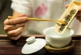 品茶香学茶艺！近百名留学生在商南县体验茶文化