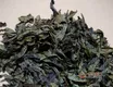 十年以上的黑茶多少钱一斤，怎么保存黑茶