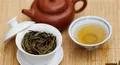 普洱茶真的有消暑功效吗